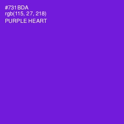 #731BDA - Purple Heart Color Image